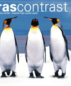 Torrascontrast Papel A4 80gr. 210x297mm (500 Hojas) Blanco